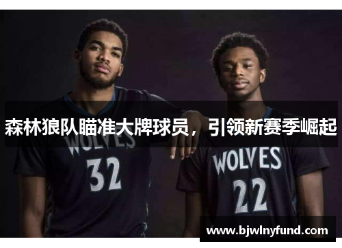 森林狼队瞄准大牌球员，引领新赛季崛起