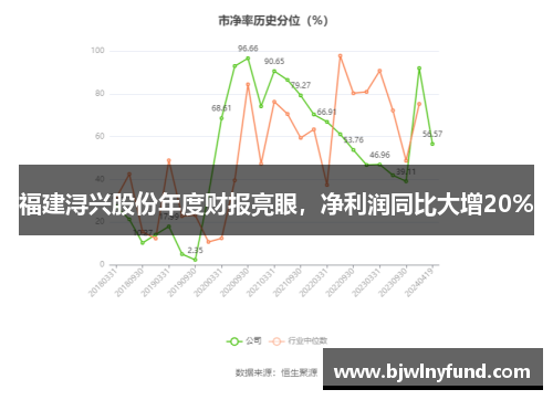 福建浔兴股份年度财报亮眼，净利润同比大增20%